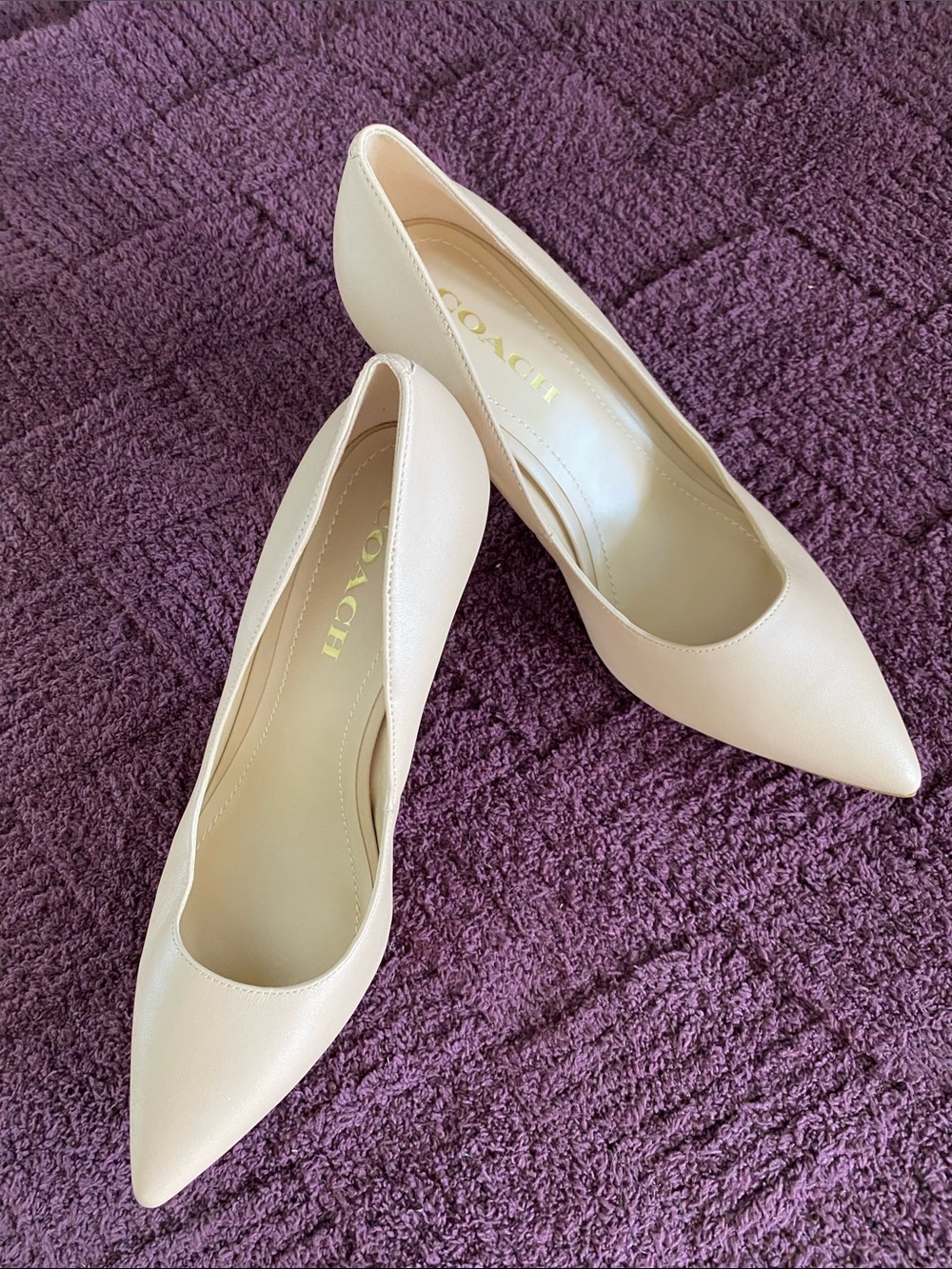 Coach Women's Pointed-Toe Pumps in Blush Nude